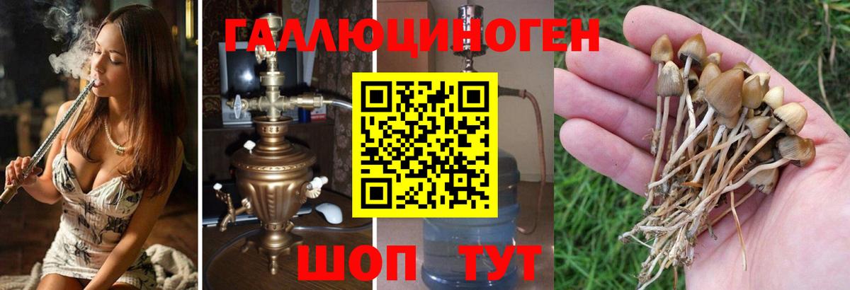 Псилоцибиновые грибы мухоморы Когалым