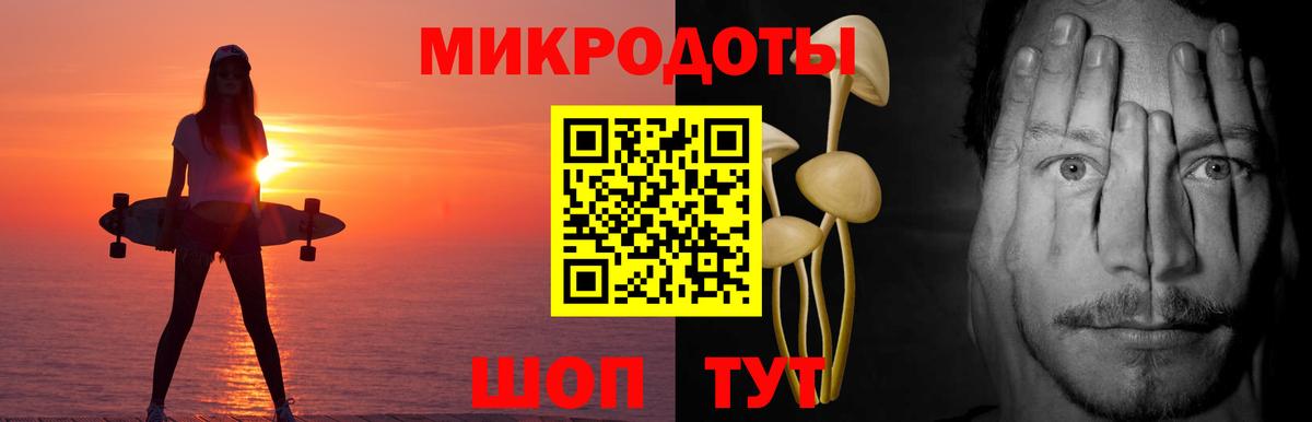 Когалым  Галлюциногенные грибы Psilocybine cubensis  Вход с VPN 